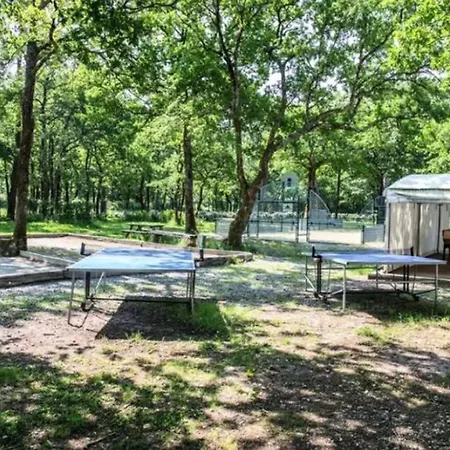 Campsite Mobil Prestige Avec Terrasse A - Api-1-52-159 Royan